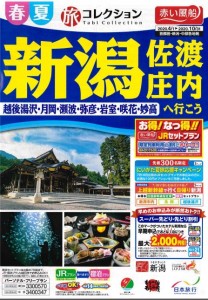 2020上期 新潟